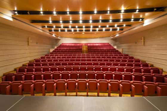 Auditori Higini Anglès