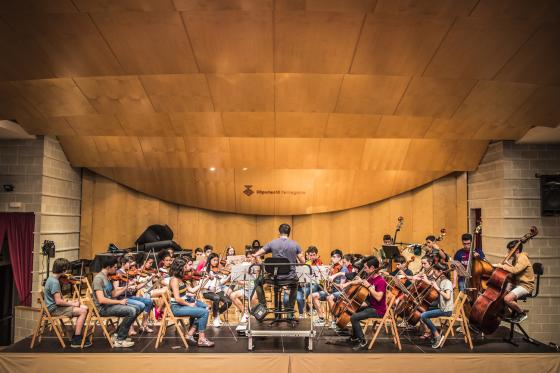 Auditori Higini Anglès