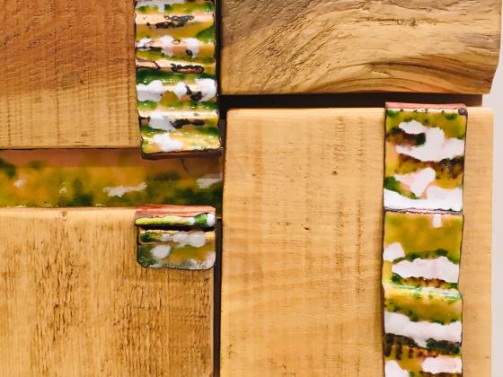 Arrugats, d'Isabel Boltà