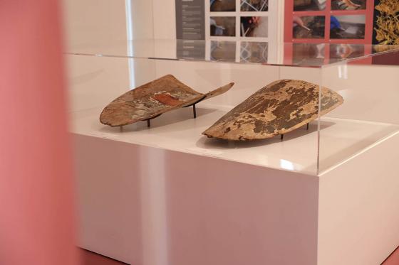 Exposició dels Pavesos a Tortosa