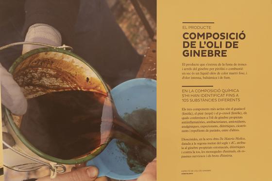 Oli de ginebre. Remei i patrimoni