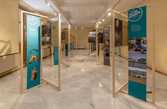 Oli de ginebre. Remei i patrimoni