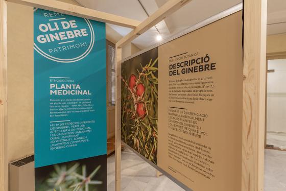 Oli de ginebre. Remei i patrimoni