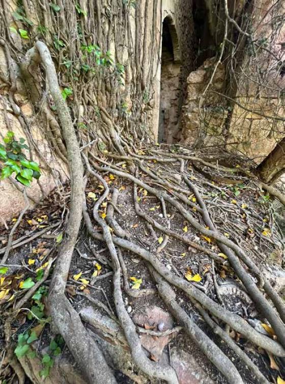 La fàbrica de transició