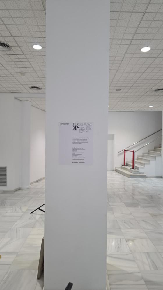 Demana imatge, al Museu de Valls