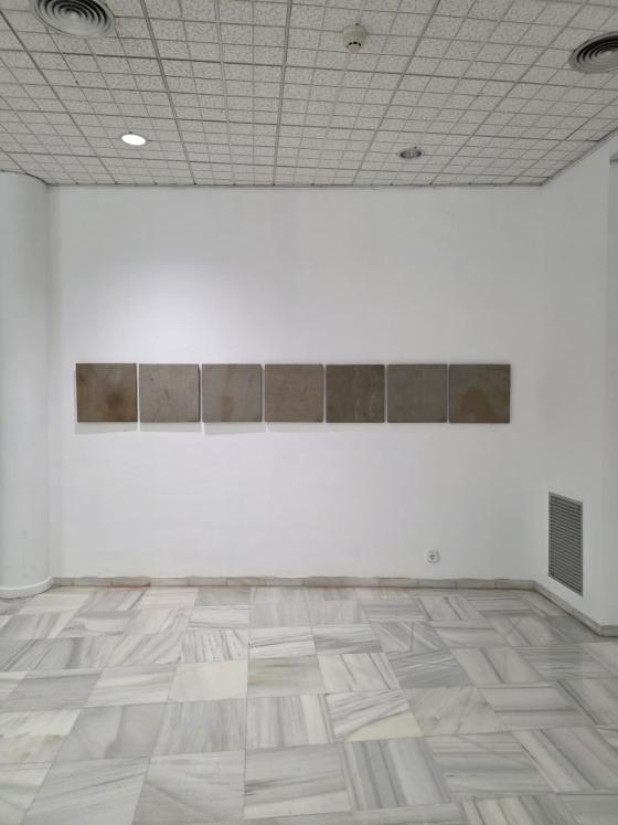 Demana imatge, al Museu de Valls