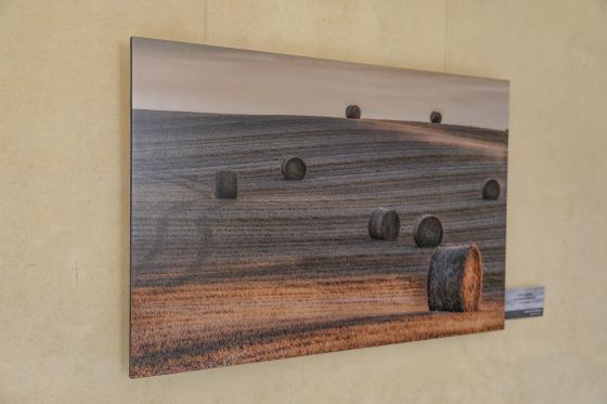 Exposició Instants de Natura (2023)