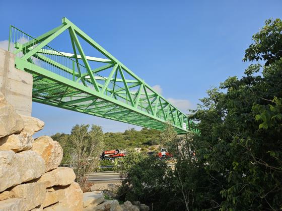 Pont sobre l'AP7 (Amposta)