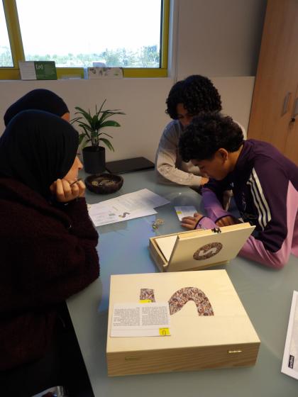 L'alumnat de l'INS Torreforta realitzant l'activitat