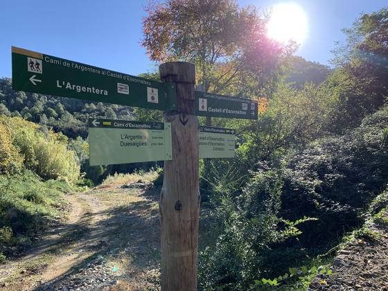 Camins i itineraris de natura