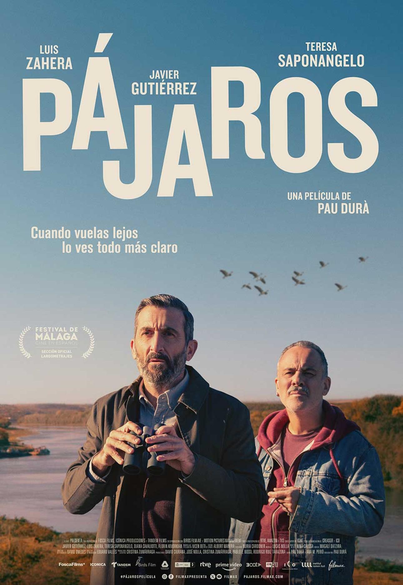 pájaros
