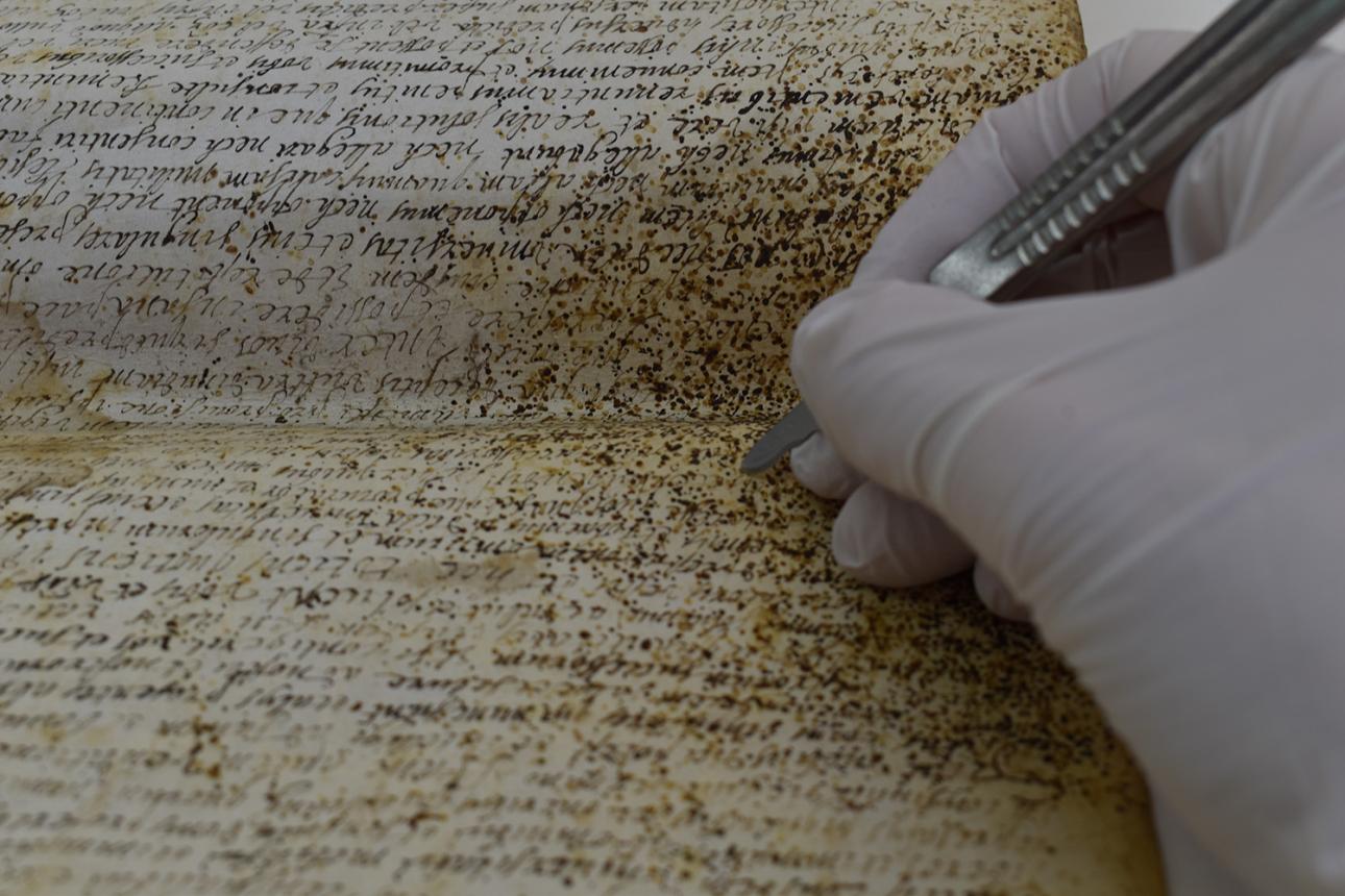 metges del patrimoni exposició