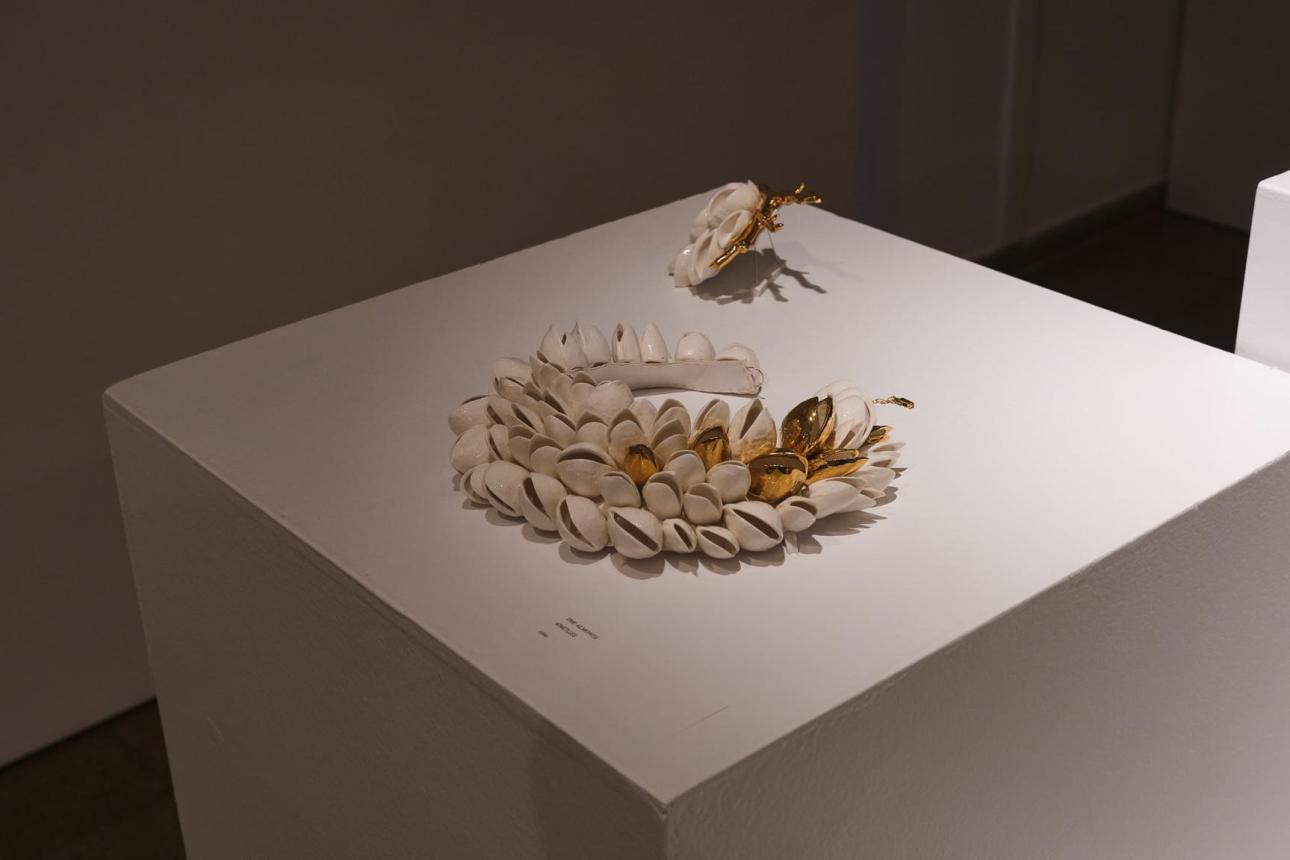 expo Raluca