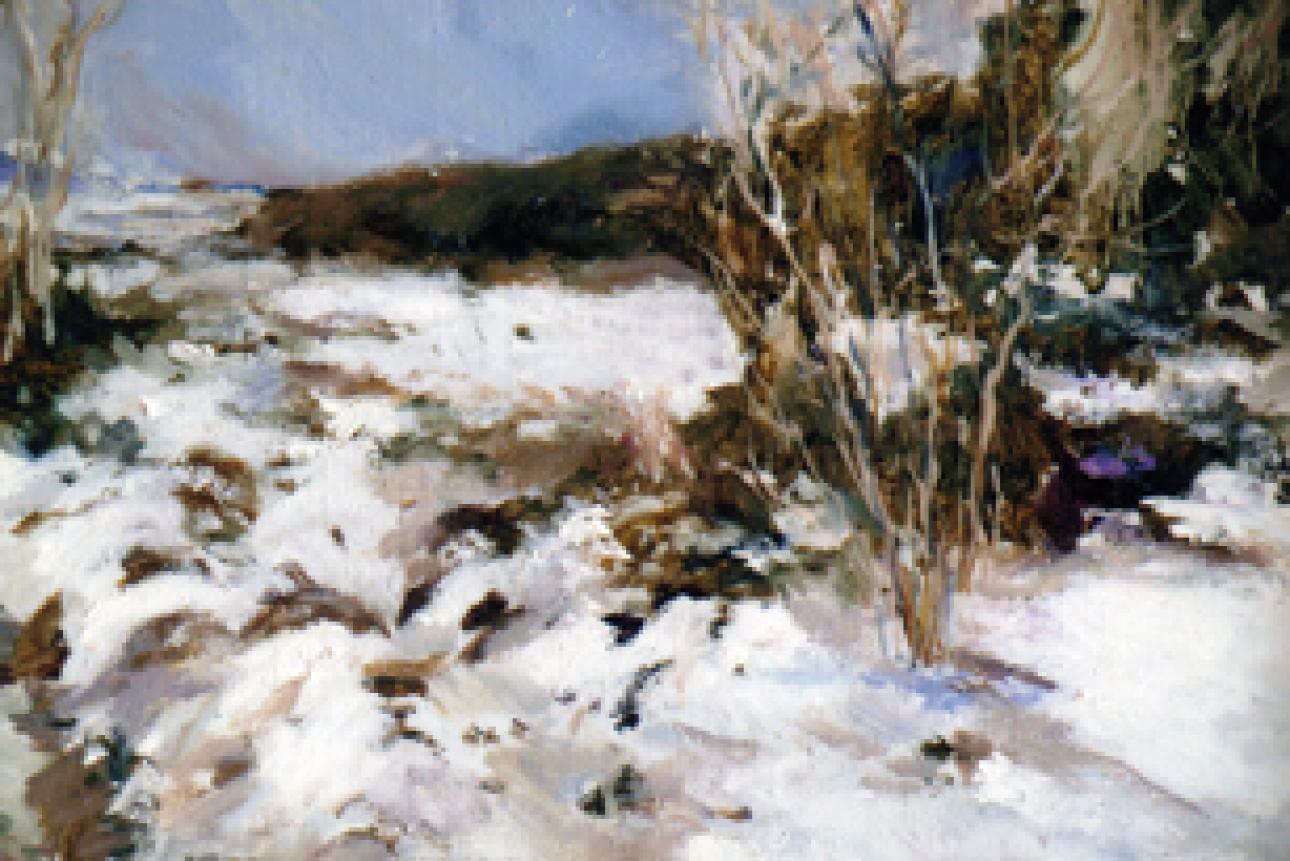 Exposició de pintura "moreso farnós" al Pati del Palau