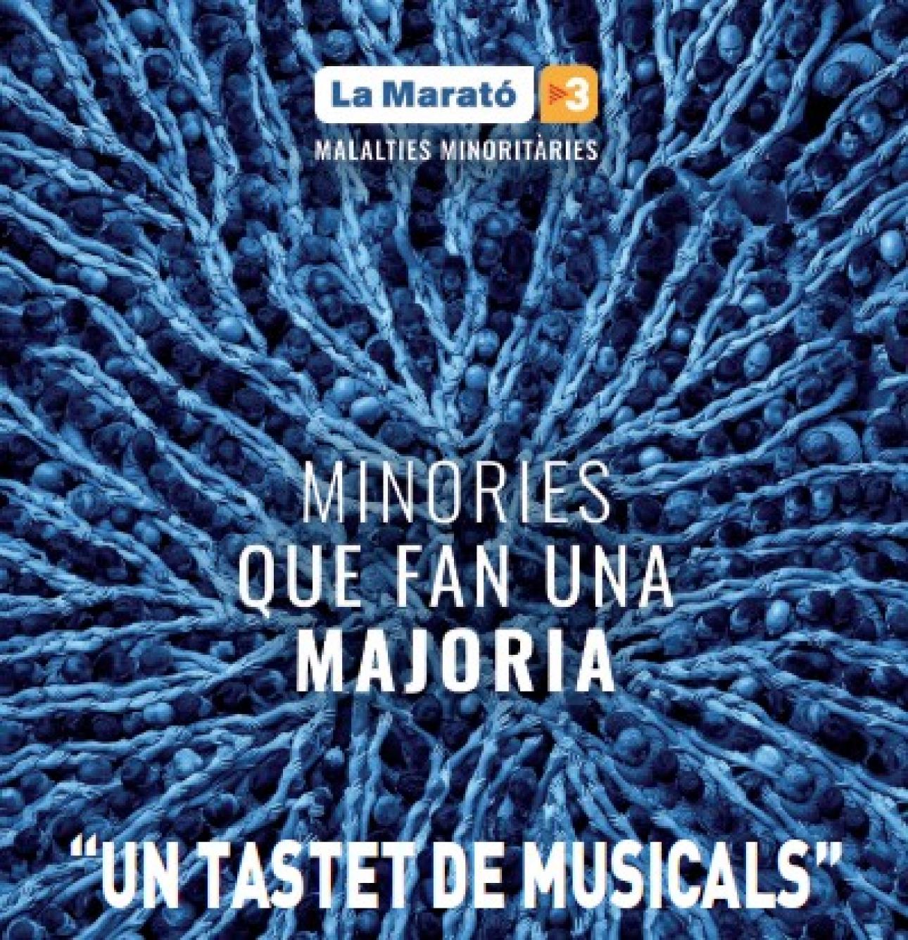 Concert dels Cors i la Banda de Grau Professional  de l'ECMúsica de la Diputació a Reus per La Marató de TV3