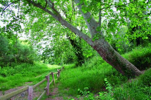 Medi ambient i salut pública