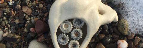 Oram, de Lucía Perera