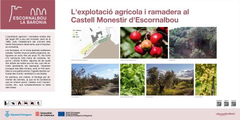 l'explotació agrícola i ramadera al castell monestir d'Escornalbou