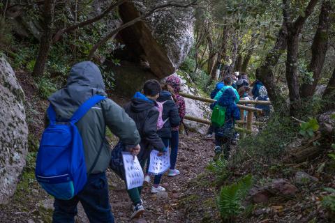 Educació ambiental