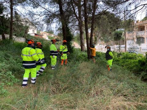 Un pla d'ocupació impulsat per la Diputació de Tarragona millora entorns naturals de la comarca del Baix Penedès