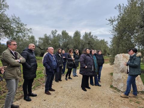 Visita a les Oliveres Mil·lenàries de l'Arió