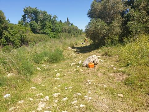 Els beneficiaris podran presentar les sol·licituds fins al proper 13 de juliol