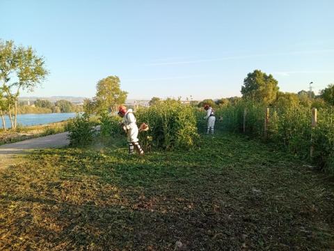 Actuacions Baix Ebre