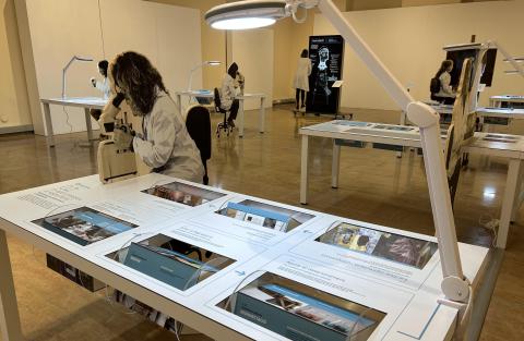 Exposició 'Metges del Patrimoni, cirurgians del passat'