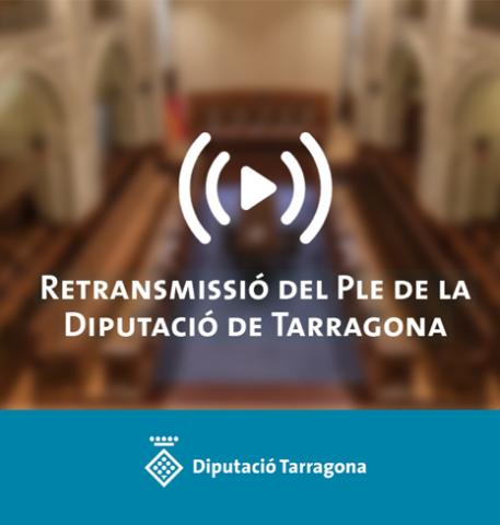 Retransmissió en directe del Ple