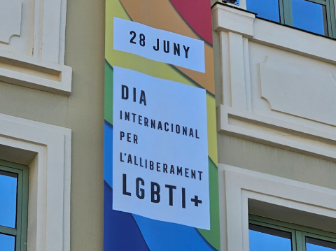 Cartell institucional per al 28J