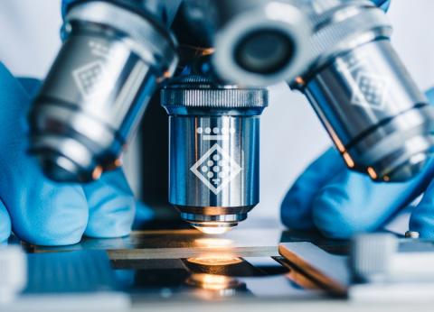 Els beneficiaris ja poden consultar les bases de la convocatòria i presentar les sol·licituds