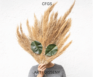 La formació desperta el talent