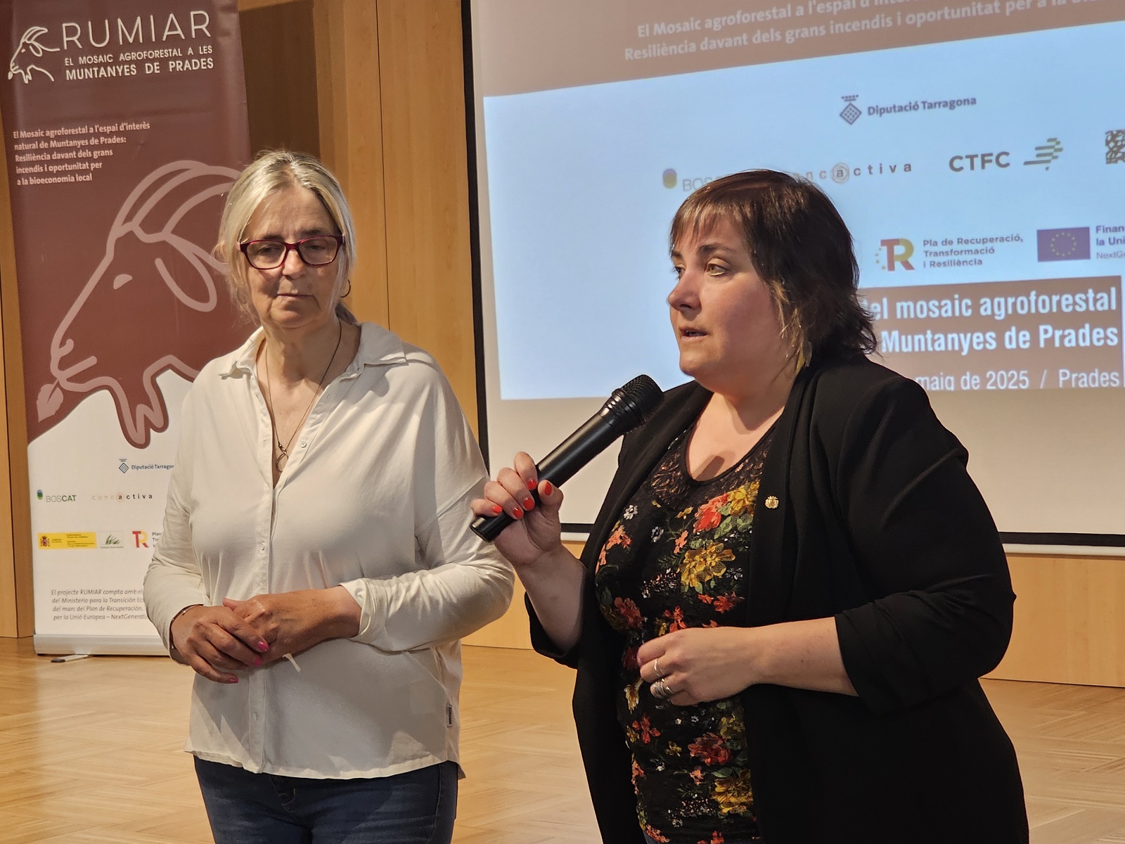 Intervenció de la diputada Carme Ferrer