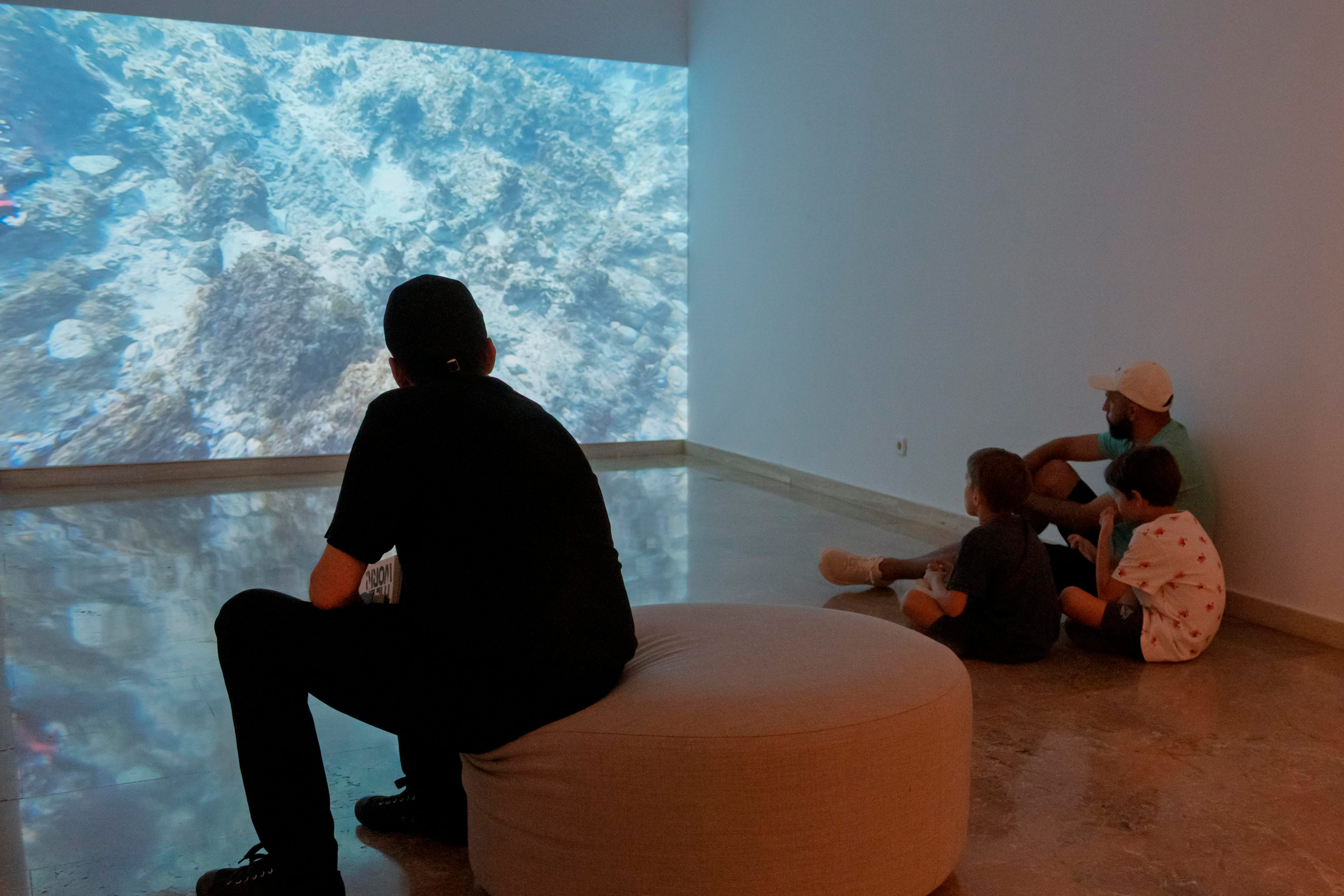 SSSSS de Marc Vives és l’obra guanyadora de la Biennal d’Art 2025