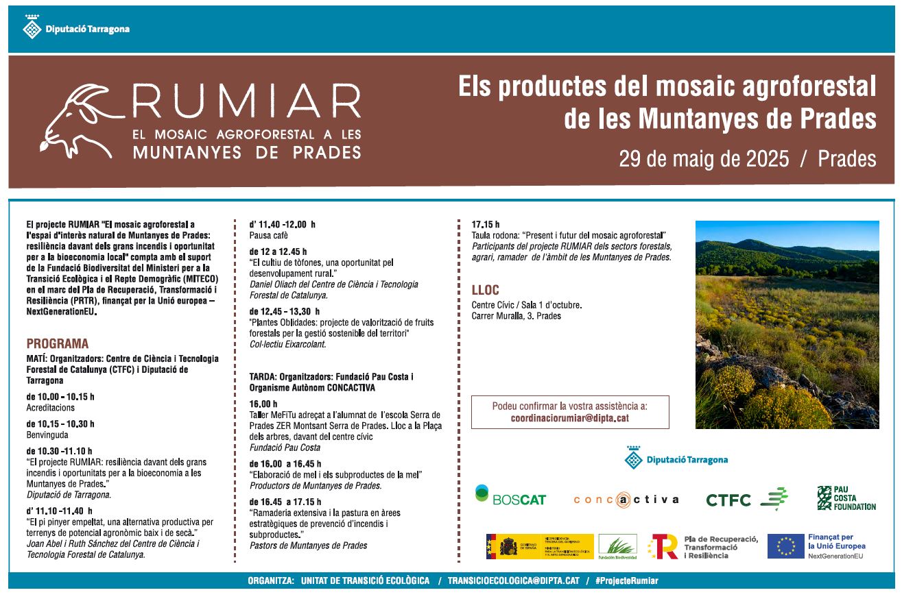 Programa de la jornada